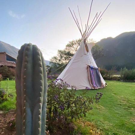 Sonqo Andino Hospedaje Medicina Pisac Ngoại thất bức ảnh
