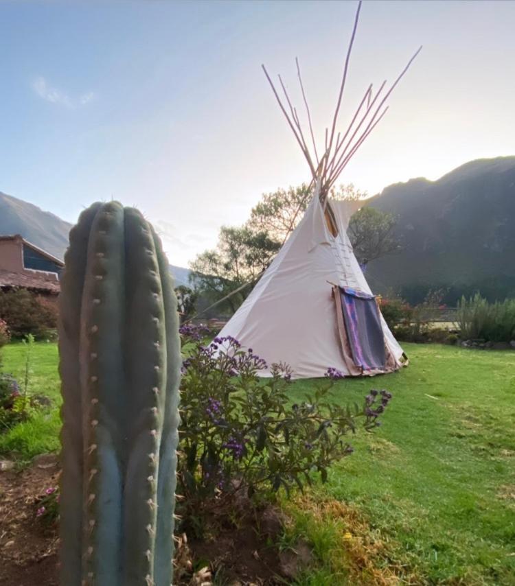 Sonqo Andino Hospedaje Medicina Pisac Ngoại thất bức ảnh